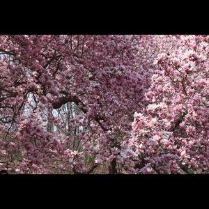 Meet your Posher, Roger